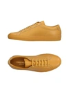 Common Projects Sneakers In Ocher