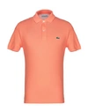 Lacoste Polo Shirts In Salmon Pink