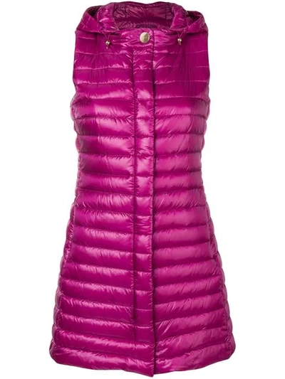 Herno Hooded Zipped Gilet In Pink