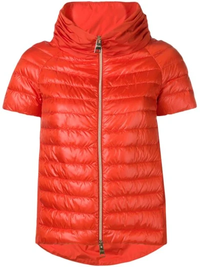Herno Short Sleeve Padded Jacket In Orange