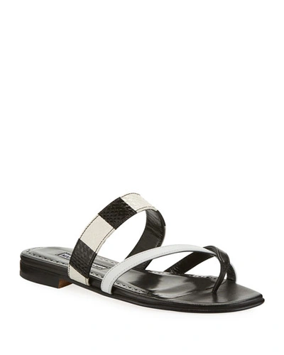 Manolo Blahnik Susa Flat Snake Slide Sandals In Black Snake