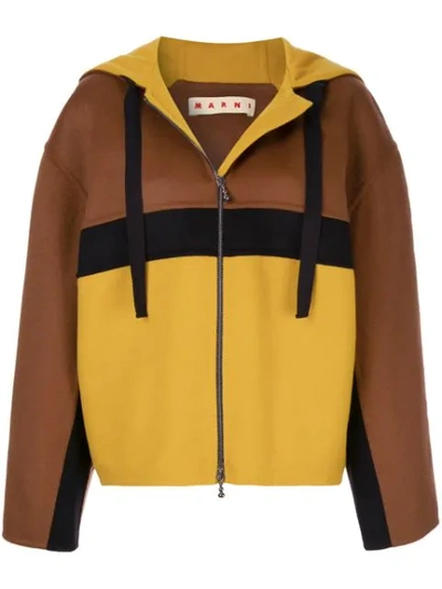 Marni Oversized Hooded Jacket In Brown