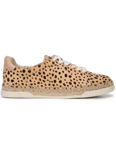Dolce Vita Women's Madox Leopard Print Calf Hair Lace-up Sneakers In Neutrals