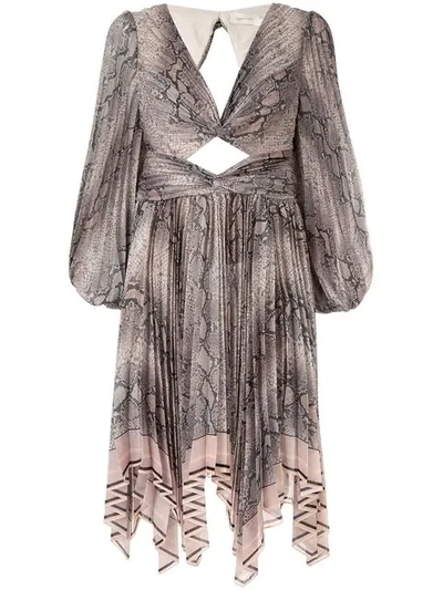 Zimmermann Snakeskin Print Flared Dress In Multicolour