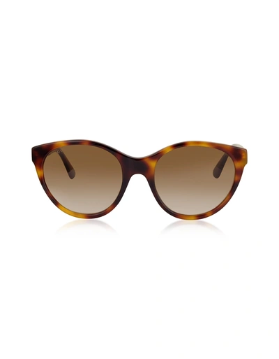 Gucci Gg0419s Cat-eye Acetate Frame Sunglasses