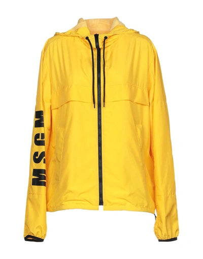 Msgm Jackets In Yellow