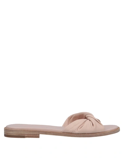 Sigerson Morrison Sandals In Pale Pink