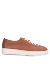 Santoni Sneakers In Cocoa