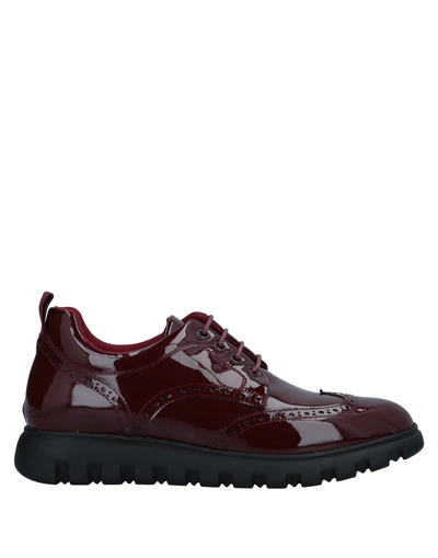 Voile Blanche Sneakers In Maroon