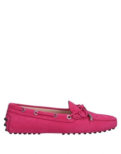 Tod's Loafers In Magenta