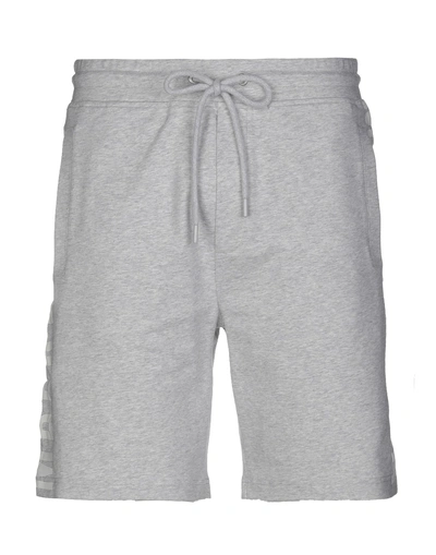 Bikkembergs Man Shorts & Bermuda Shorts Light Grey Size S Cotton, Elastane In Grey