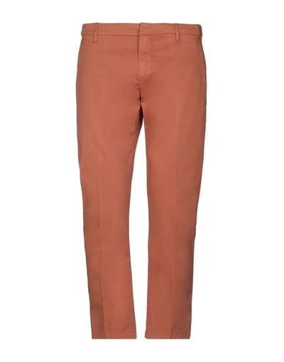 Dondup Pants In Brown