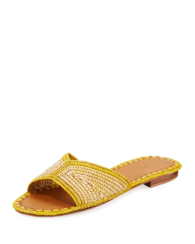Carrie Forbes Salon Miste Woven Raffia Slide Sandals In Yellow Pattern