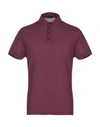 Zanone Polo Shirts In Purple