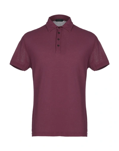 Zanone Polo Shirts In Purple