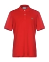 Lacoste Polo Shirts In Red