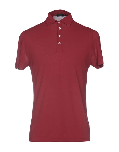 Zanone Polo Shirts In Brick Red