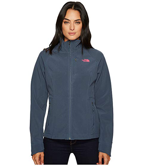 north face apex bionic hoodie