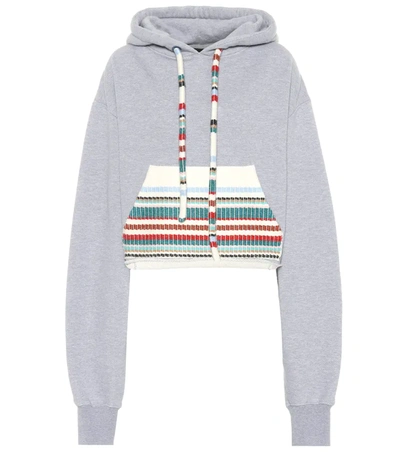 Alanui Cotton And Cashmere Hoodie In Grey