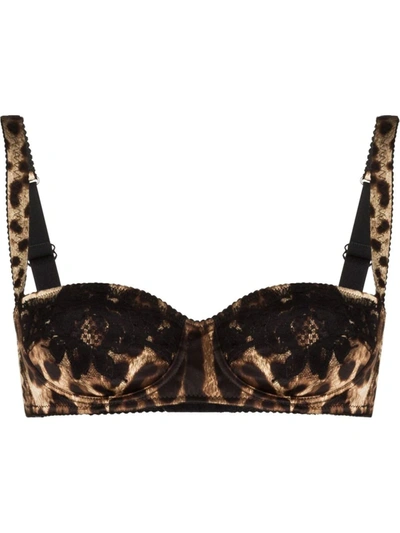 Dolce & Gabbana Lace-trimmed Leopard-print Stretch-silk Satin Underwired Balconette Bra In Brown