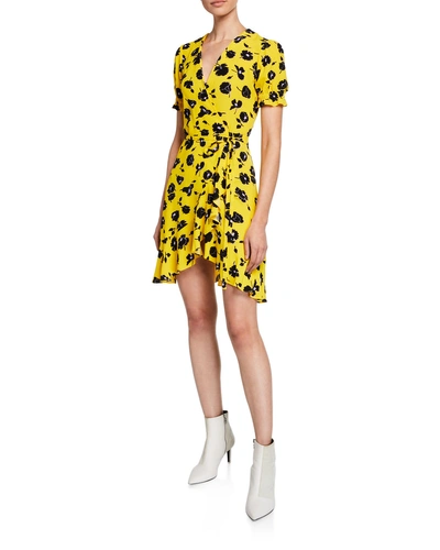 Diane Von Furstenberg Emilia Printed Short-sleeve Flouncy Wrap Dress In Rose Showers