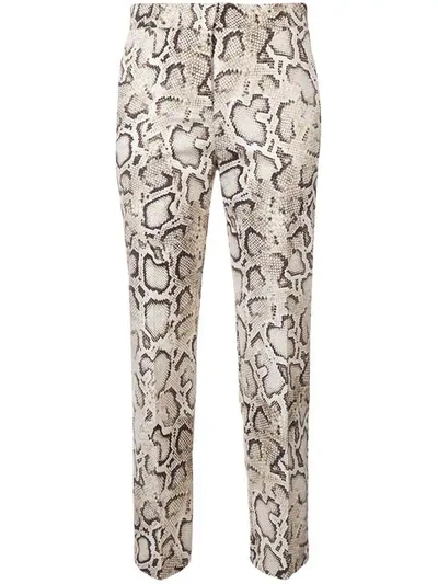 Pinko Snakeskin Print Trousers In Cl1 Beige Marrone