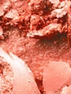 Mac Extra Dimension Blush In Telling Glow