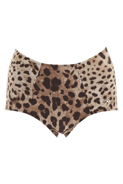 Dolce & Gabbana Leopard Print High-waisted Bikini Bottoms In Animalier