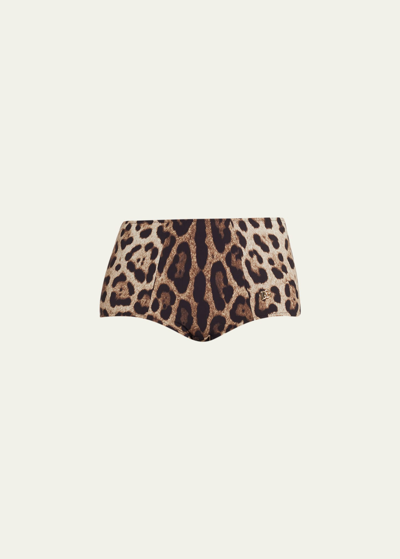 Dolce & Gabbana Leopard Print High-waisted Bikini Bottom In Black,beige,brown