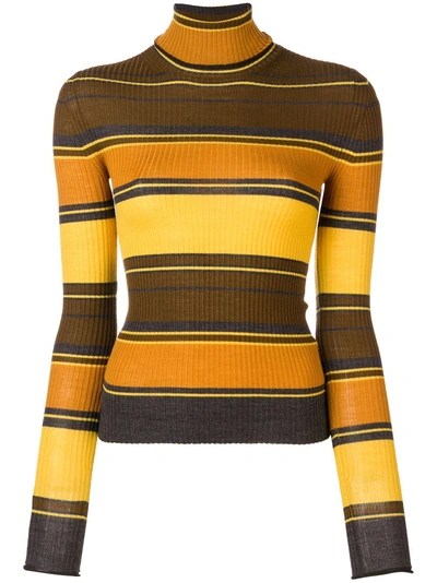 Acne Studios Striped Turtleneck Jumper In Brown