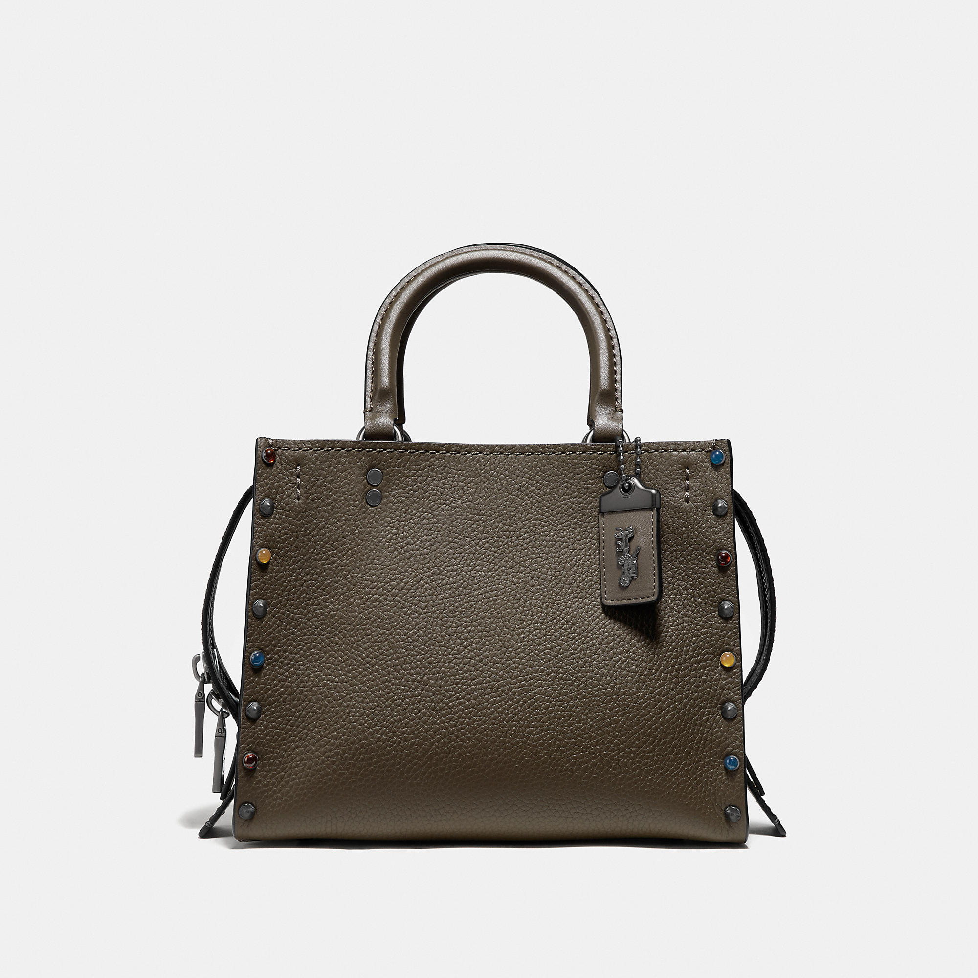 coach x mint serf rogue 25