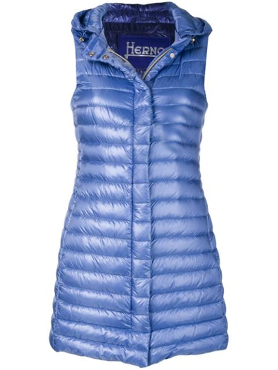 Herno Hooded Padded Gilet In Blue