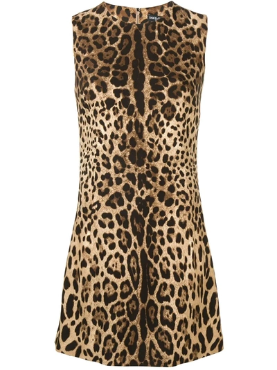 Dolce & Gabbana Leopard Print Dress - Brown In Brown