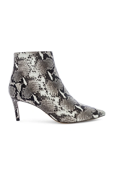 Tony Bianco Gessy Bootie In Natural Snake