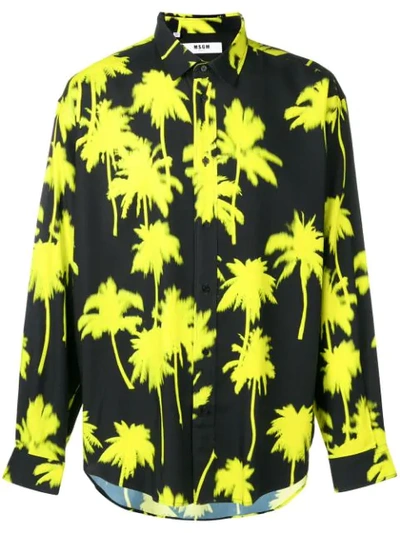 Msgm Palm Tree Print Shirt In Black