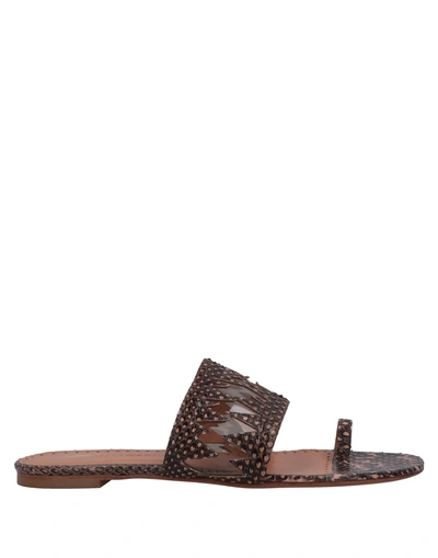 Alexa Wagner Flip Flops In Dark Brown