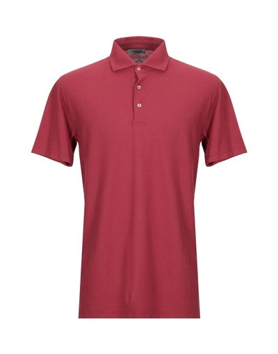 Vengera Polo Shirt In Brick Red