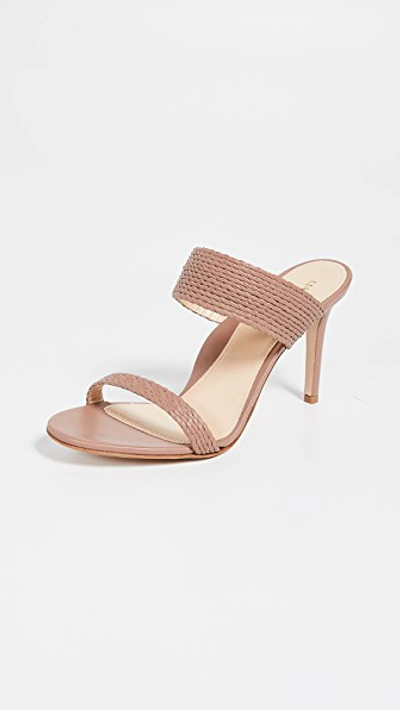 Marion Parke Foxy Double Strap Slides In Blush