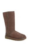 Ugg Classic Ii Genuine Shearling Lined Tall Boot In Chocolate Suede