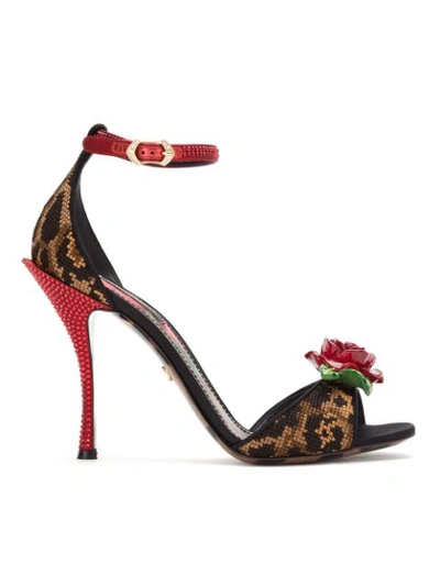 Dolce & Gabbana Rose Appliqué Sandals In Multicolour