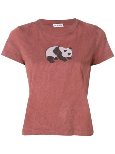 Balenciaga Panda T-shirt In Brown