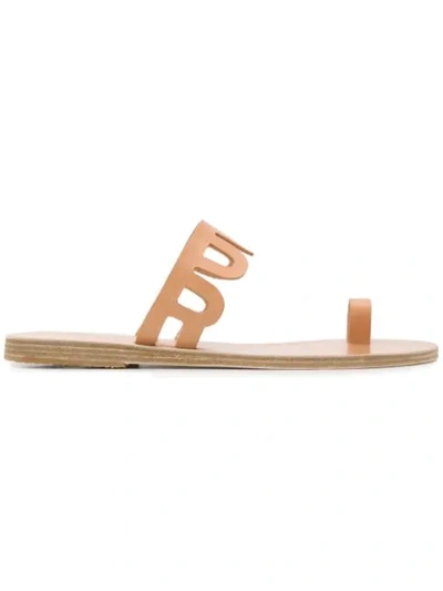 Ancient Greek Sandals Venus凉鞋 - 大地色 In Neutrals