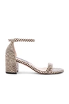 Stuart Weitzman Simple Sandal In Tan. In Bambina Outlined Snake