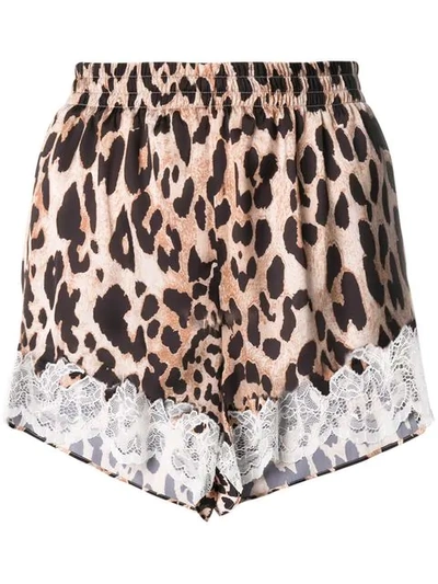 Paco Rabanne Leopard Print Shorts In Brown