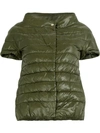 Herno Shortsleeved Puffer Jacket In Green