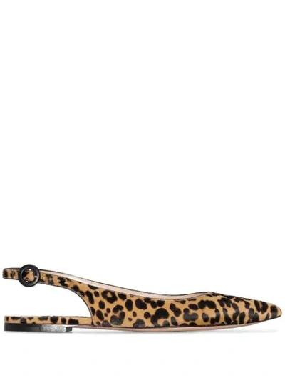 Gianvito Rossi Leopard-print Calf Hair Slingback Point-toe Flats In Black