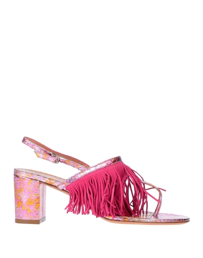 Alexa Wagner Flip Flops In Fuchsia