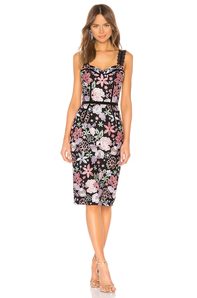 Bronx And Banco Camille Sleeveless Cocktail Sheath Dress In Multicolor