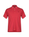 Junya Watanabe Polo Shirt In Red