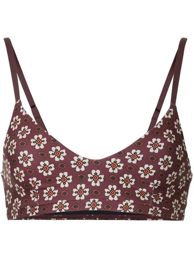 The Upside Printed Bra Top In Purple